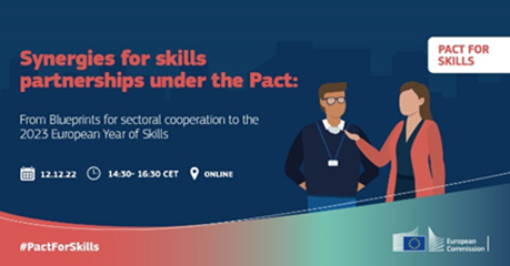 Peer learning activity: Synergies for skills partnerships under the Pact − from Blueprints for Sectoral Cooperation to the 2023 European Year of Skills