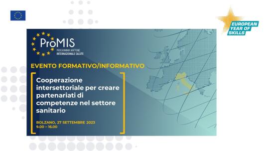 ProMIS PRoMIS ‘Intersectoral Cooperation to Create Partnerships of Skills in the Healthcare Sector visual