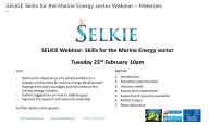 Webinar on Skills for the Marine Energy Sector