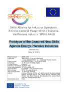 Prototype of the Blueprint New Skills Agenda Energy Intensive Industries