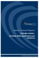 Hydrogen Industry: Job Roles, Skills, Qualifications and Experience