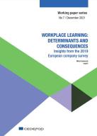 Workplace learning: determinants and consequences: insights from the 2019 European company survey